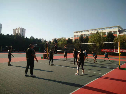 排球4.jpg