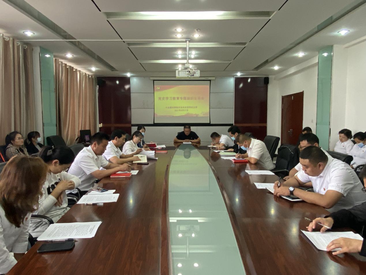 召开党史学习教育专题组织生活会.jpg