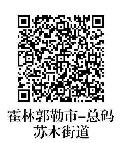 [霍林郭勒市-苏木街道总码.jpg