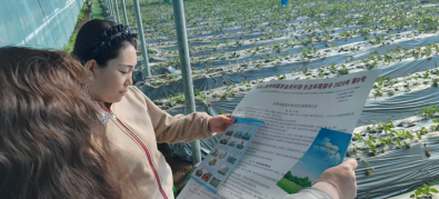 1765765976128574.png image.png