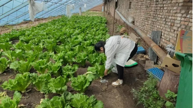 1765766550957930.png image.png